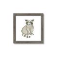 Picture of Baby Raccoon _GroupedProduct_Square_Mini_ _GroupedProduct_Square_Framed_Matted_