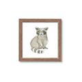 Picture of Baby Raccoon _GroupedProduct_Square_Mini_ _GroupedProduct_Square_Framed_Matted_