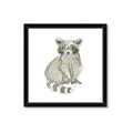 Picture of Baby Raccoon _GroupedProduct_Square_Mini_ _GroupedProduct_Square_Framed_Matted_