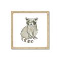 Picture of Baby Raccoon _GroupedProduct_Square_Mini_ _GroupedProduct_Square_Framed_Matted_