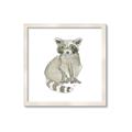 Picture of Baby Raccoon _GroupedProduct_Square_Mini_ _GroupedProduct_Square_Framed_Matted_