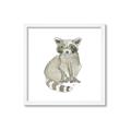 Picture of Baby Raccoon _GroupedProduct_Square_Mini_ _GroupedProduct_Square_Framed_Matted_