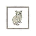 Picture of Baby Raccoon _GroupedProduct_Square_Mini_ _GroupedProduct_Square_Framed_Matted_