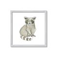Picture of Baby Raccoon _GroupedProduct_Square_Mini_ _GroupedProduct_Square_Framed_Matted_