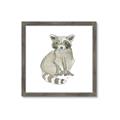 Picture of Baby Raccoon _GroupedProduct_Square_Mini_ _GroupedProduct_Square_Framed_Matted_