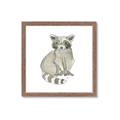 Picture of Baby Raccoon _GroupedProduct_Square_Mini_ _GroupedProduct_Square_Framed_Matted_