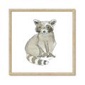 Picture of Baby Raccoon _GroupedProduct_Square_Mini_ _GroupedProduct_Square_Framed_Matted_