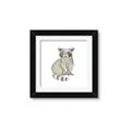 Picture of Baby Raccoon _GroupedProduct_Square_Mini_ _GroupedProduct_Square_Framed_Matted_