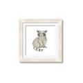 Picture of Baby Raccoon _GroupedProduct_Square_Mini_ _GroupedProduct_Square_Framed_Matted_