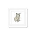 Picture of Baby Raccoon _GroupedProduct_Square_Mini_ _GroupedProduct_Square_Framed_Matted_