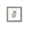 Picture of Baby Raccoon _GroupedProduct_Square_Mini_ _GroupedProduct_Square_Framed_Matted_