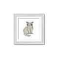 Picture of Baby Raccoon _GroupedProduct_Square_Mini_ _GroupedProduct_Square_Framed_Matted_