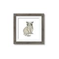 Picture of Baby Raccoon _GroupedProduct_Square_Mini_ _GroupedProduct_Square_Framed_Matted_