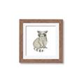 Picture of Baby Raccoon _GroupedProduct_Square_Mini_ _GroupedProduct_Square_Framed_Matted_