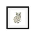 Picture of Baby Raccoon _GroupedProduct_Square_Mini_ _GroupedProduct_Square_Framed_Matted_