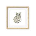 Picture of Baby Raccoon _GroupedProduct_Square_Mini_ _GroupedProduct_Square_Framed_Matted_