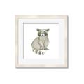 Picture of Baby Raccoon _GroupedProduct_Square_Mini_ _GroupedProduct_Square_Framed_Matted_