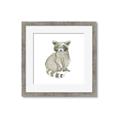 Picture of Baby Raccoon _GroupedProduct_Square_Mini_ _GroupedProduct_Square_Framed_Matted_