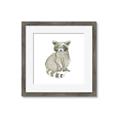 Picture of Baby Raccoon _GroupedProduct_Square_Mini_ _GroupedProduct_Square_Framed_Matted_