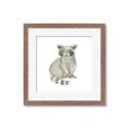 Picture of Baby Raccoon _GroupedProduct_Square_Mini_ _GroupedProduct_Square_Framed_Matted_