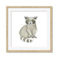 Picture of Baby Raccoon _GroupedProduct_Square_Mini_ _GroupedProduct_Square_Framed_Matted_