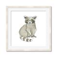 Picture of Baby Raccoon _GroupedProduct_Square_Mini_ _GroupedProduct_Square_Framed_Matted_