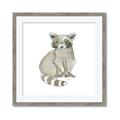 Picture of Baby Raccoon _GroupedProduct_Square_Mini_ _GroupedProduct_Square_Framed_Matted_