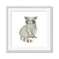 Picture of Baby Raccoon _GroupedProduct_Square_Mini_ _GroupedProduct_Square_Framed_Matted_