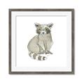 Picture of Baby Raccoon _GroupedProduct_Square_Mini_ _GroupedProduct_Square_Framed_Matted_
