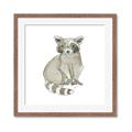 Picture of Baby Raccoon _GroupedProduct_Square_Mini_ _GroupedProduct_Square_Framed_Matted_