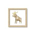 Picture of Baby moose _GroupedProduct_Square_Mini_ _GroupedProduct_Square_Framed_Matted_