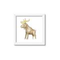 Picture of Baby moose _GroupedProduct_Square_Mini_ _GroupedProduct_Square_Framed_Matted_