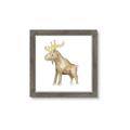 Picture of Baby moose _GroupedProduct_Square_Mini_ _GroupedProduct_Square_Framed_Matted_