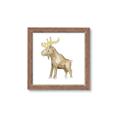 Picture of Baby moose _GroupedProduct_Square_Mini_ _GroupedProduct_Square_Framed_Matted_