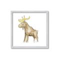 Picture of Baby moose _GroupedProduct_Square_Mini_ _GroupedProduct_Square_Framed_Matted_
