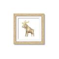 Picture of Baby moose _GroupedProduct_Square_Mini_ _GroupedProduct_Square_Framed_Matted_
