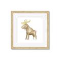 Picture of Baby moose _GroupedProduct_Square_Mini_ _GroupedProduct_Square_Framed_Matted_