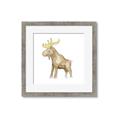 Picture of Baby moose _GroupedProduct_Square_Mini_ _GroupedProduct_Square_Framed_Matted_
