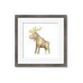 Picture of Baby moose _GroupedProduct_Square_Mini_ _GroupedProduct_Square_Framed_Matted_