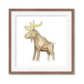 Picture of Baby moose _GroupedProduct_Square_Mini_ _GroupedProduct_Square_Framed_Matted_