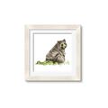 Picture of Bear in grass _GroupedProduct_Square_Mini_ _GroupedProduct_Square_Framed_Matted_