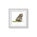 Picture of Bear in grass _GroupedProduct_Square_Mini_ _GroupedProduct_Square_Framed_Matted_