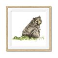 Picture of Bear in grass _GroupedProduct_Square_Mini_ _GroupedProduct_Square_Framed_Matted_