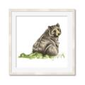 Picture of Bear in grass _GroupedProduct_Square_Mini_ _GroupedProduct_Square_Framed_Matted_