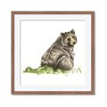 Picture of Bear in grass _GroupedProduct_Square_Mini_ _GroupedProduct_Square_Framed_Matted_