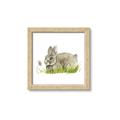 Picture of Bunny in grass _GroupedProduct_Square_Mini_ _GroupedProduct_Square_Framed_Matted_