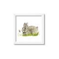 Picture of Bunny in grass _GroupedProduct_Square_Mini_ _GroupedProduct_Square_Framed_Matted_