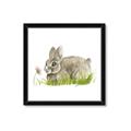 Picture of Bunny in grass _GroupedProduct_Square_Mini_ _GroupedProduct_Square_Framed_Matted_