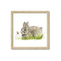 Picture of Bunny in grass _GroupedProduct_Square_Mini_ _GroupedProduct_Square_Framed_Matted_