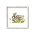 Picture of Bunny in grass _GroupedProduct_Square_Mini_ _GroupedProduct_Square_Framed_Matted_